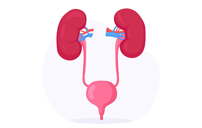 Uro Oncology